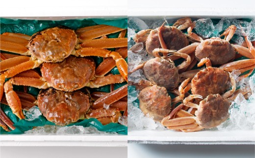 【1月～3月発送】【訳あり】冷蔵便　生本ズワイガニ夫婦セット（雄約2kg＋セコガニ約1kg）1079006