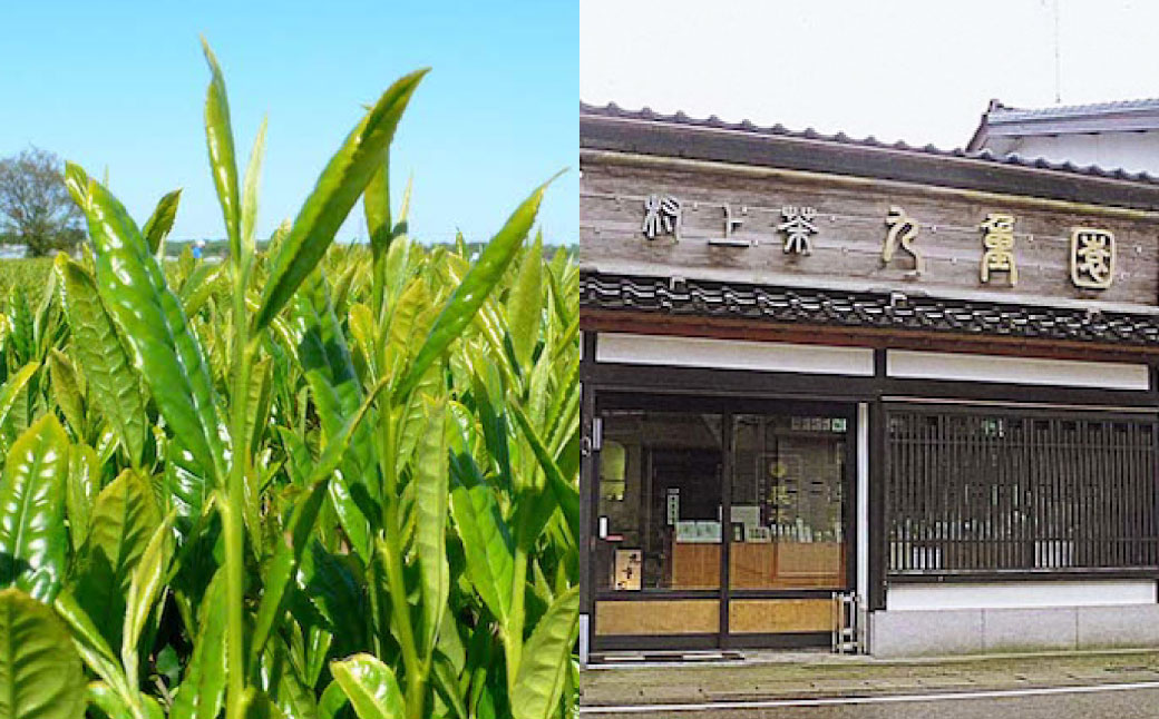 HA4065 【障がい者応援品】村上銘茶詰め合せA