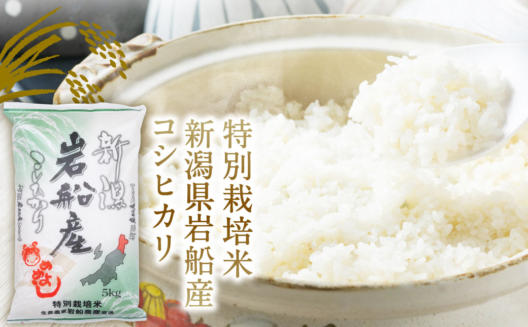 【新米受付・令和6年産米】NE4027 特別栽培米 新潟県岩船産コシヒカリ60kg（5kg×12ヶ月コース）