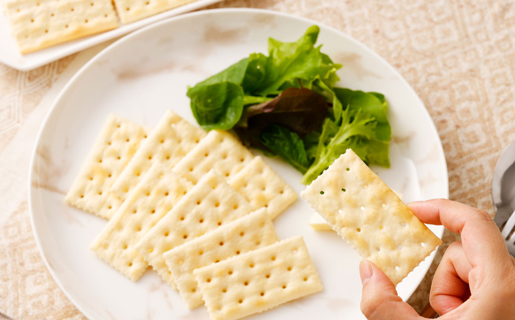 ブルボン「天然酵母のクラッカー」48枚入×6袋　1094012