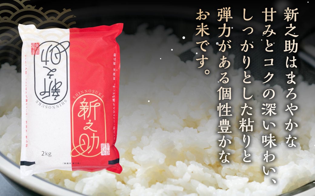 【新米受付・令和6年産米】【定期便：6ヶ月連続でお届け】 村上市産 新之助 36kg （6kg×6ヶ月）コース 1027004N