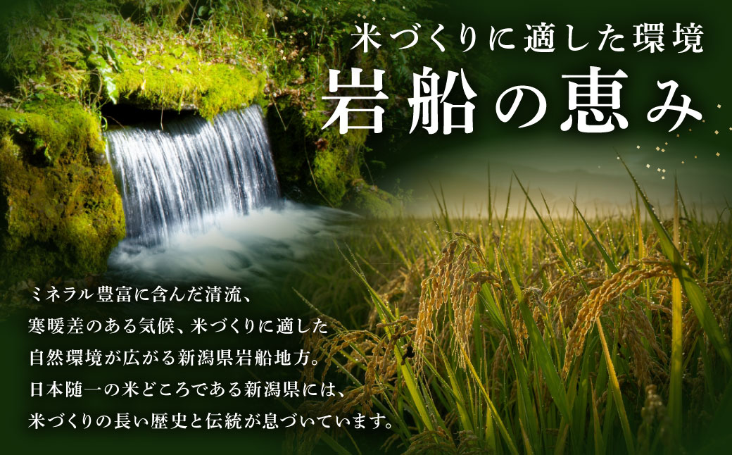 【令和7年産米】新潟県村上市岩船産 新之助6kg（2kg×3袋）1099003