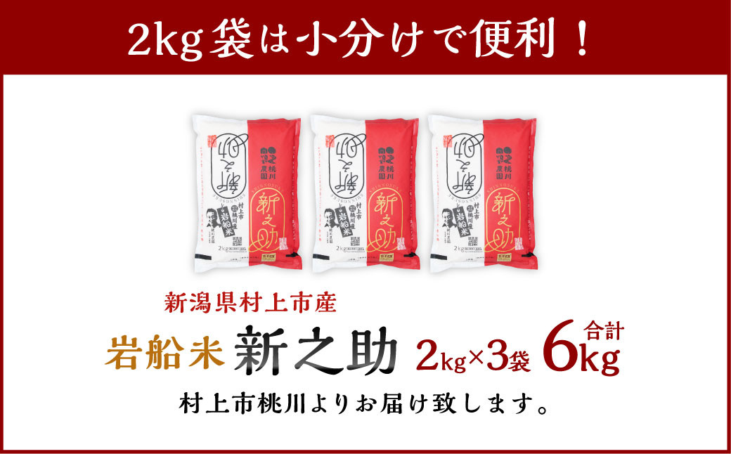 【精米即日発送・令和7年産米】新潟県村上市 岩船産  特別栽培米 新之助 6kg　A4100
