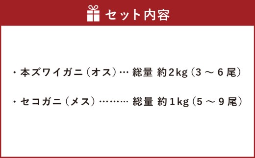 【1月～3月発送】【訳あり】冷蔵便　生本ズワイガニ夫婦セット（雄約2kg＋セコガニ約1kg）1079006
