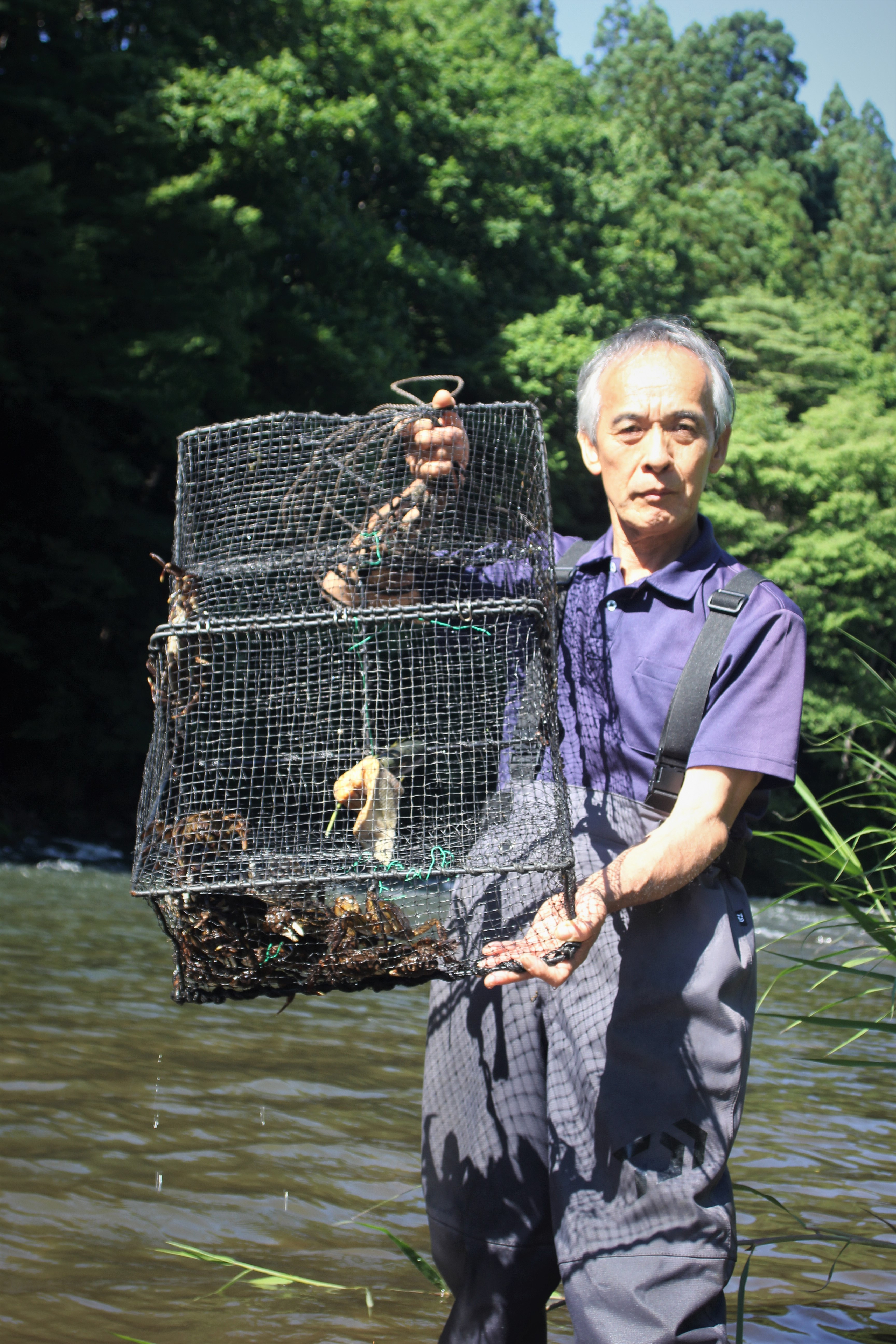 【期間限定】天然活きモクズガニ 約1kg（6～10匹、オス・メス混合） ネットに入れてお届け 下処理不要 調理レシピ付き AB4027　