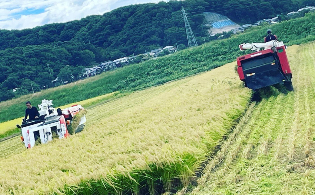 A4148 【令和5年産米】空舞米 新潟県岩船産 コシヒカリ 精米 6kg