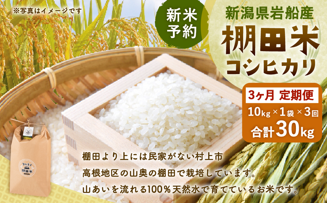 【新米予約・令和8年産米】【定期便：3ヶ月連続でお届け】新潟県村上市岩船産 棚田米コシヒカリ 10kg×3ヶ月　1011005N