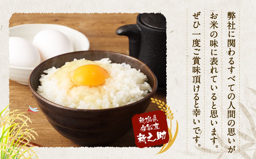 【新米受付・令和8年産米】 【定期便 3ヶ月】新潟県村上市岩船産　新之助　精米6kg（2kg×3個セット）×3ヶ月 1050014N