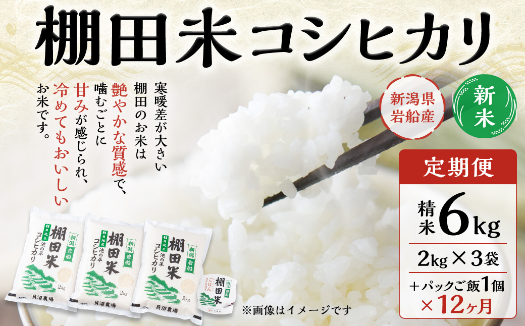 【新米受付・令和6年産米】【定期便：12ヶ月連続でお届け】新潟県岩船産 棚田米コシヒカリ 6kg（2kg×3袋）+パックごはん(150g×1個) ×12ヶ月 1067012N