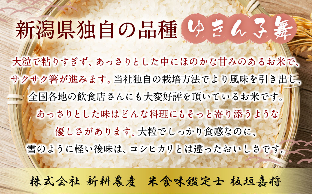 A4099 【令和5年産米】大粒でしっかり食感  新潟県岩船産  ゆきん子舞 8kg