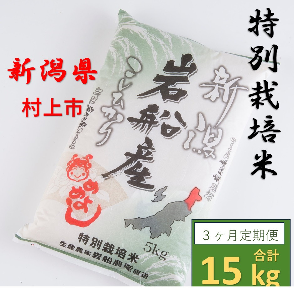 【令和6年産米】【3ヶ月定期便】特別栽培米  岩船米 コシヒカリ 15kg (5㎏×3ヶ月コース）　1013003