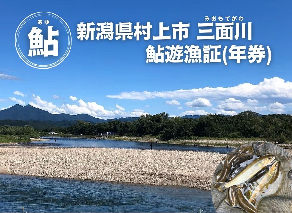 【2026年シーズン用】新潟県村上市「三面川（みおもてがわ）」鮎遊漁証（利用期間：2026年6月27日から11月30日まで）鮎 アユ あゆ 鮎釣り 遊漁券 フィッシング 釣り アウトドア 体験1044001