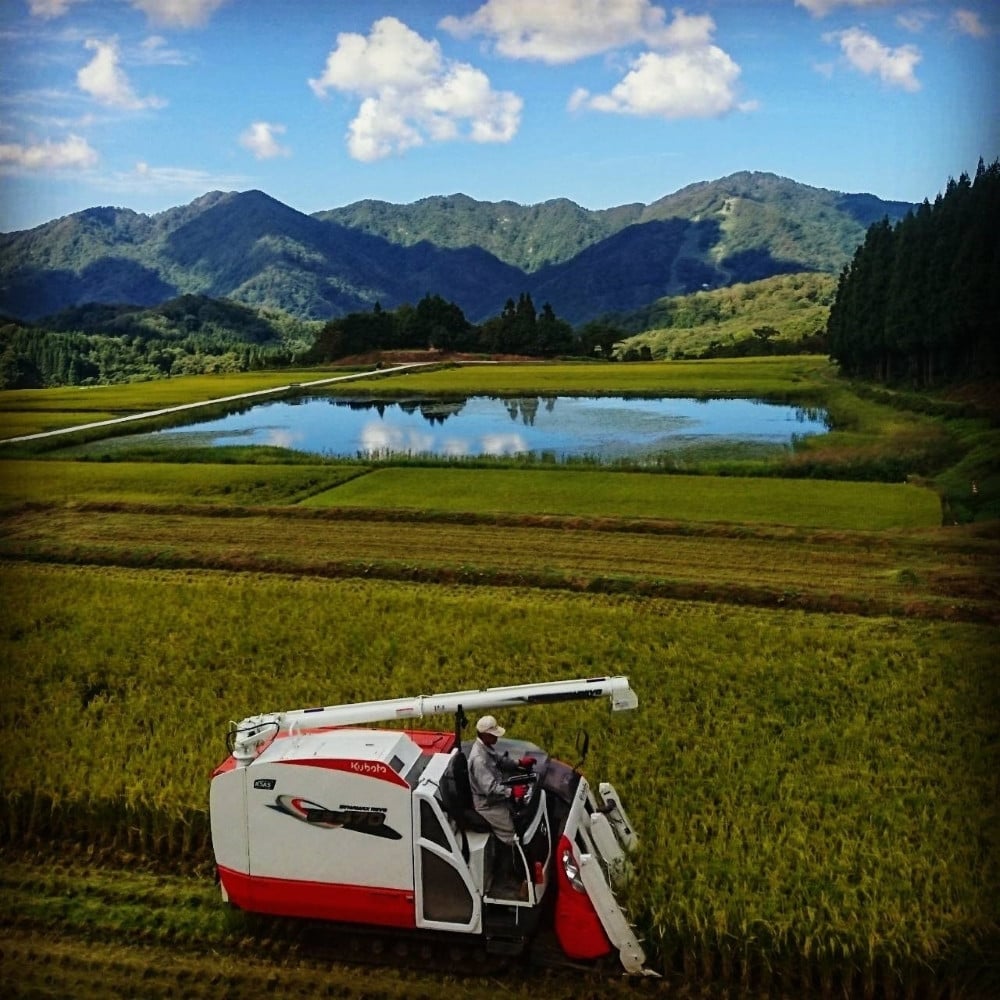 【令和7年産米】【6ヶ月定期便】新潟県村上市岩船産 棚田米コシヒカリ 4kg（2kg×2袋）+パックごはん(150g×1個) ×6ヶ月 1067145