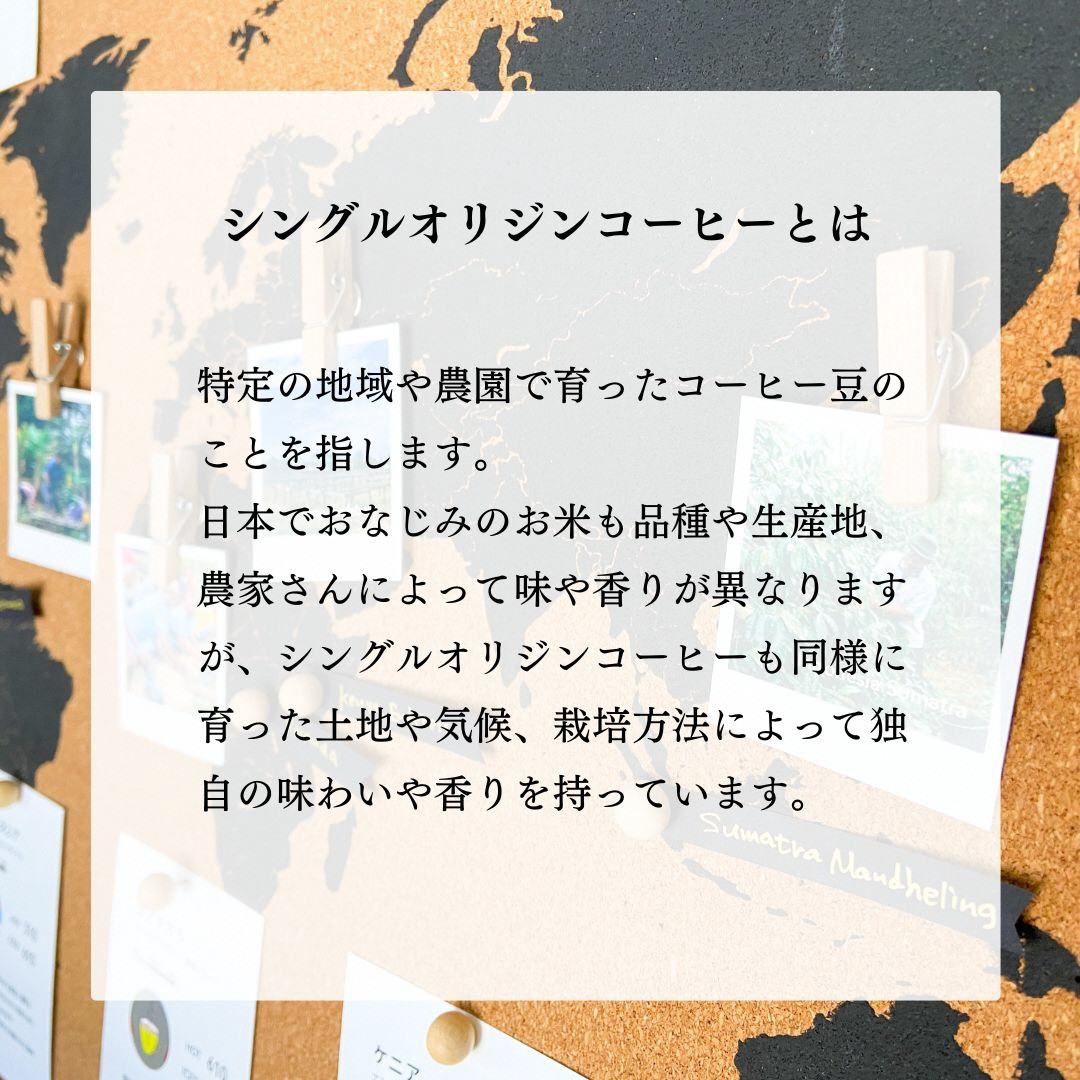 コーヒーギフト 高品質 シングルオリジン コーヒー・ドリップバッグ 詰め合わせ 20杯分（専用ギフト箱入り） 1075009