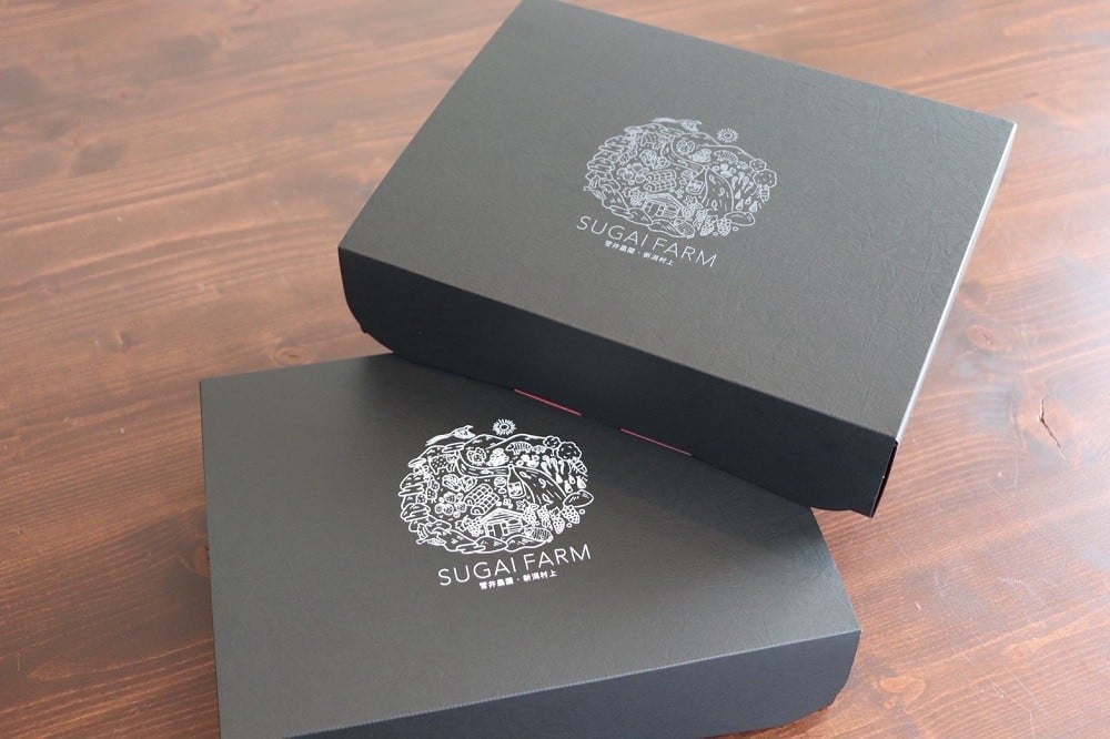 【数量限定】大粒いちご「越後姫」贈答用 12～15粒 約450g　1081005