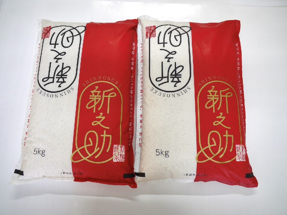 【令和7年産米】新潟県村上市 岩船産 新之助 10kg 1029012