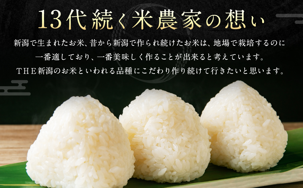 A4110 【令和6年産米】違いを楽しめるお米セット 新潟県産 コシヒカリ・ゆきん子舞・新之助 計6kg