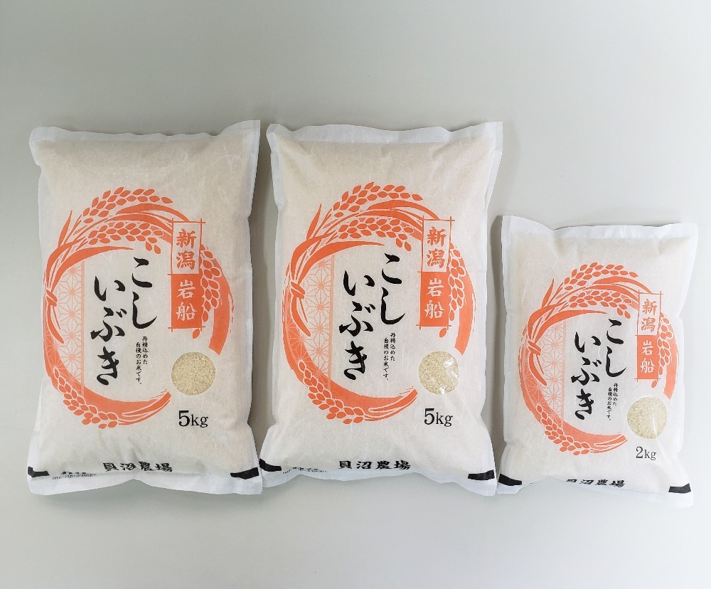 【令和7年産米】 こしいぶき 白米12kg（5kg×2、2kg×1） 新潟県村上市岩船産　1067104