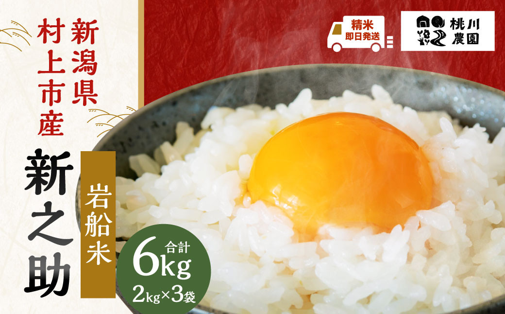 【精米即日発送・令和7年産米】新潟県村上市 岩船産  新之助 6kg　A4100