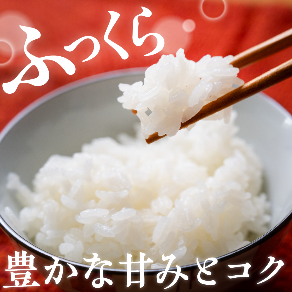 莉、蜥7蟷エ逕」 譁ー貎溽恁荳願カ雁ヲ咎ォ倡肇 譁ー荵句勧 10kg縲宣谺。逋コ騾√