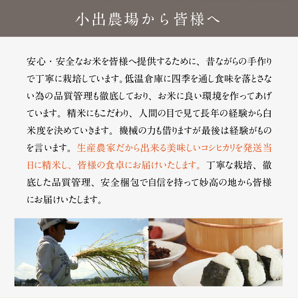 【2025年1月下旬発送】令和6年産 新潟県妙高産こしひかり「星降る里」20kg 無洗米