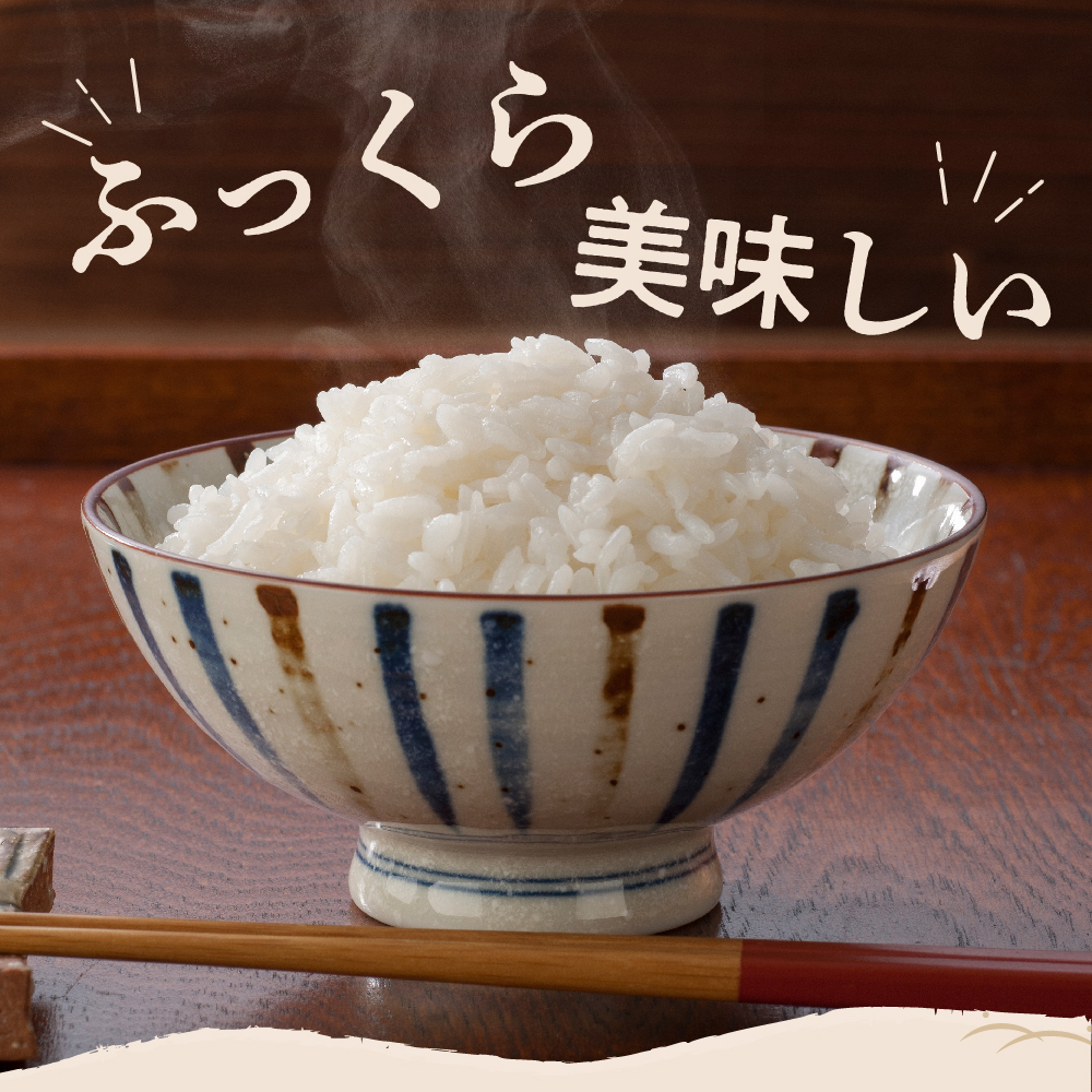 【2025年3月下旬発送】【定期便】令和6年産 新潟県矢代産コシヒカリ20kg(5kg×4袋)×3回（計60kg）