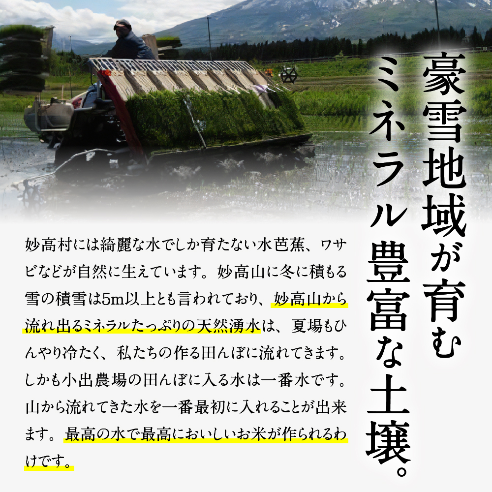 【2025年5月中旬発送】令和6年産 新潟県妙高産こしひかり「星降る里」20kg