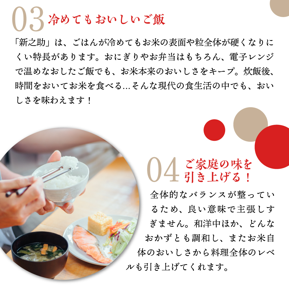 【2025年3月上旬発送】【定期便】令和6年産 新潟県上越・妙高産新之助20kg(5kg×4袋)×6回（計120kg）