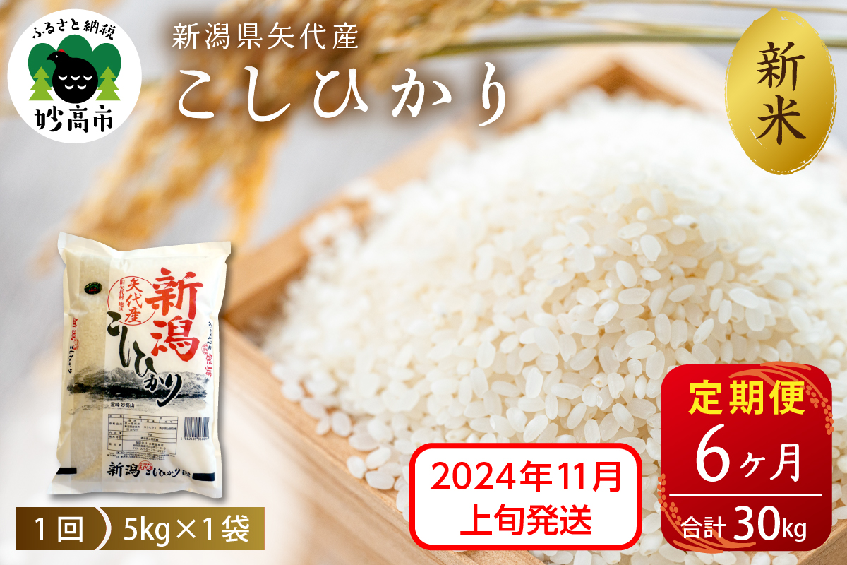 【2024年11月上旬より発送】令和6年産 新潟県矢代産コシヒカリ5kg×6回(計30kg)