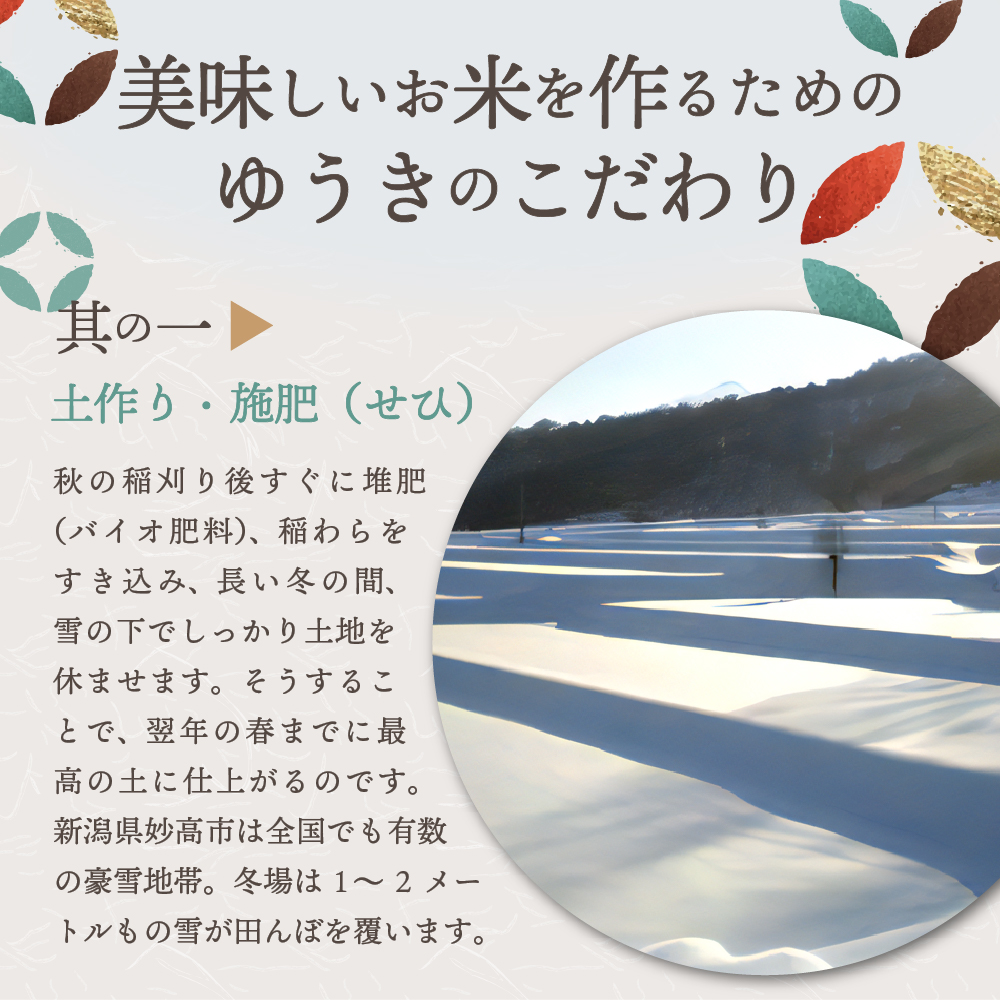 2025年6月中旬発送【令和6年産米】新潟県妙高産斐太の里コシヒカリ「旬」5kg　