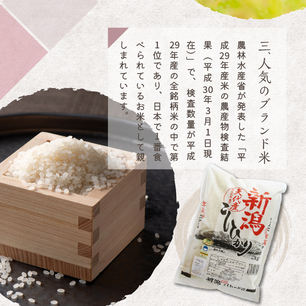 【2025年1月中旬発送】【定期便】令和6年産 新潟県矢代産コシヒカリ10kg(5kg×2袋)×2回（計20kg）