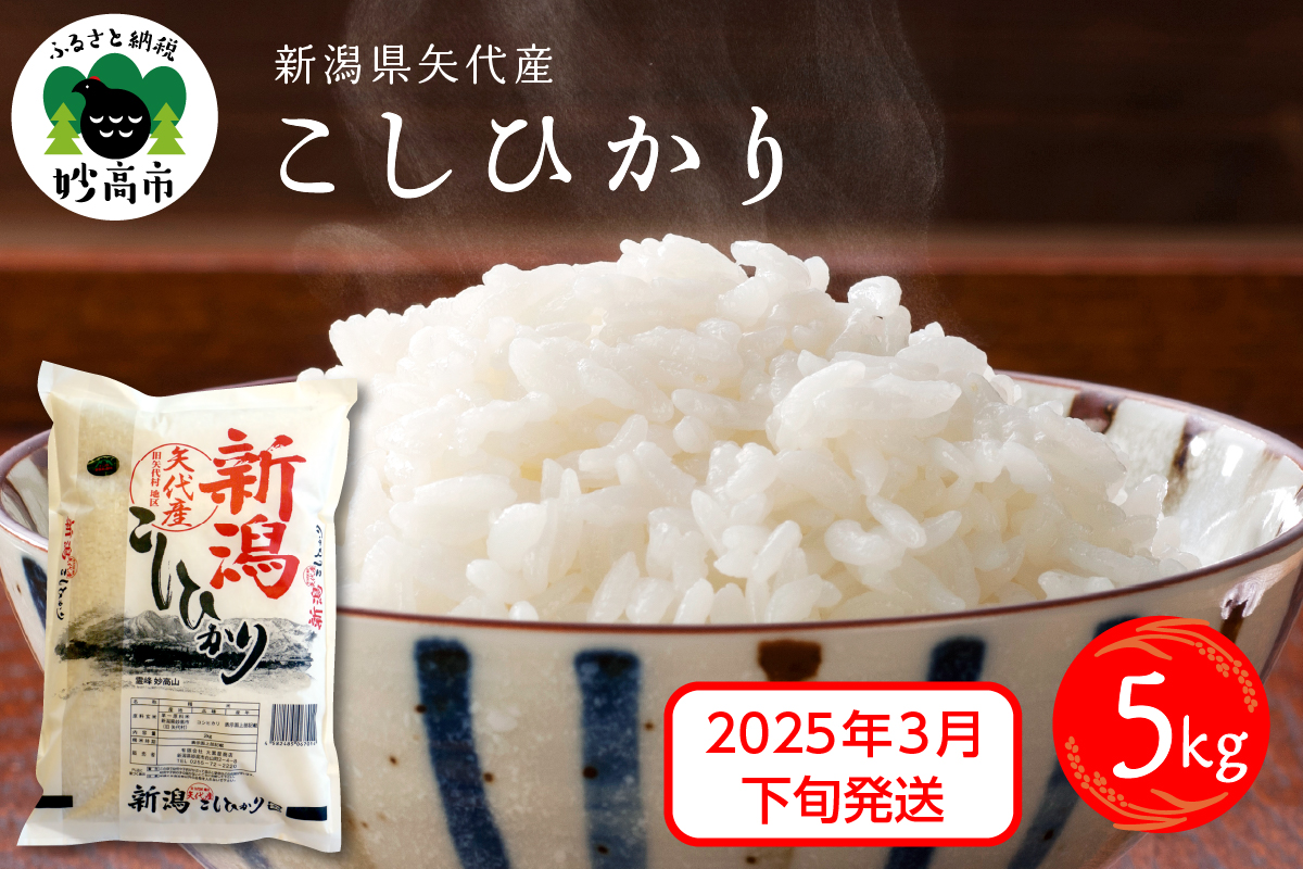 【2025年3月下旬発送】新潟県矢代産コシヒカリ5kg