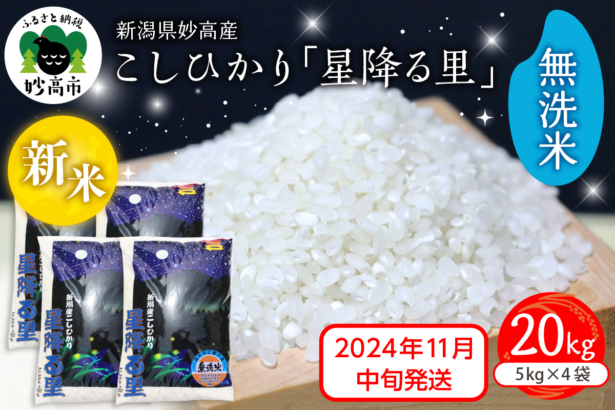 【2024年11月中旬発送】令和6年産 新潟県妙高産こしひかり「星降る里」20kg 無洗米