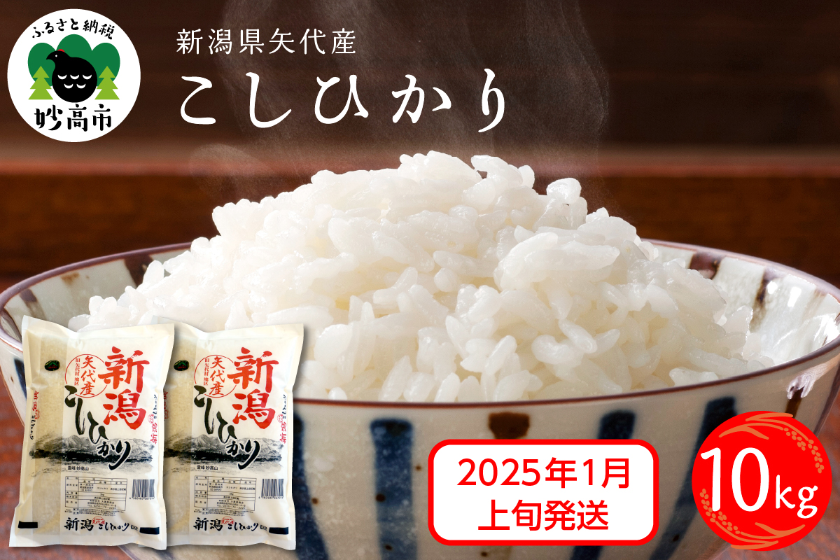 【2025年1月上旬発送】令和6年産 新潟県矢代産コシヒカリ10kg