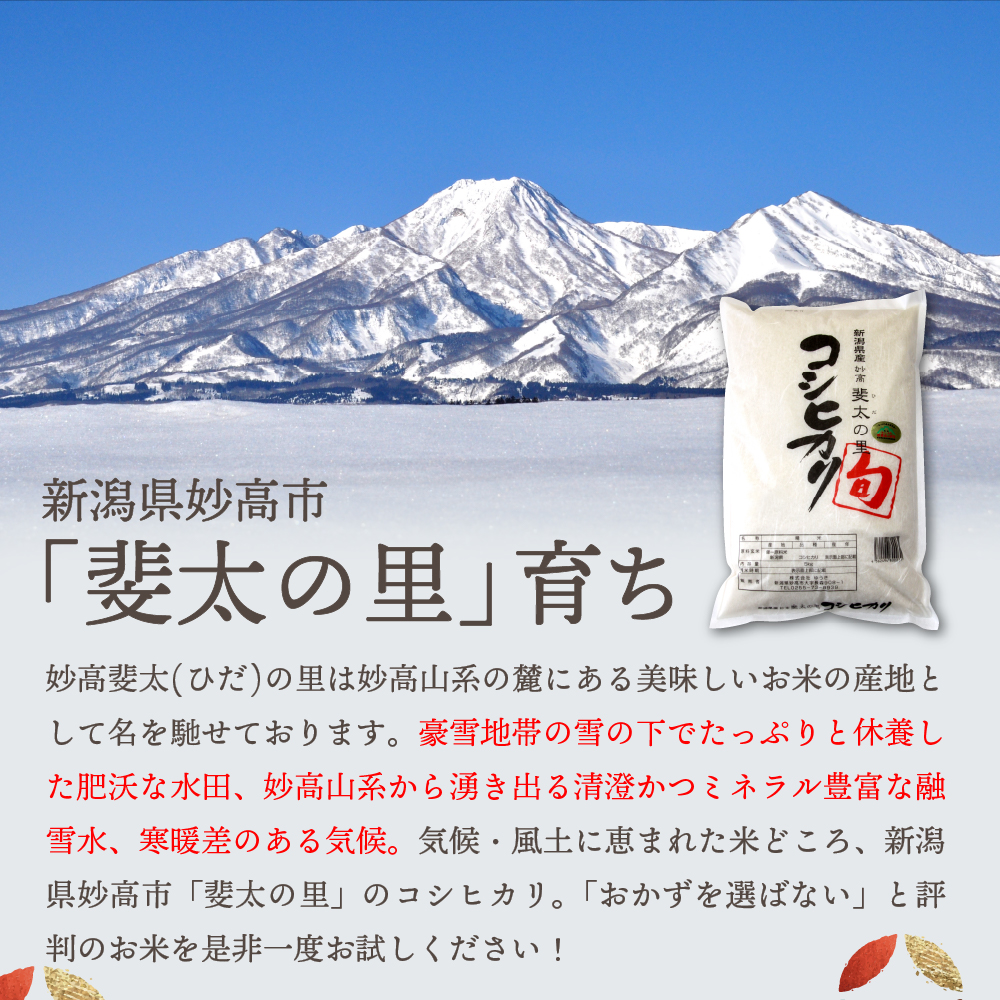 【2025年3月中旬発送】【令和6年産米】新潟県妙高産斐太の里コシヒカリ「旬」10kg(5kg×2袋)