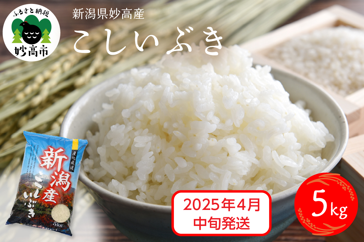 【2025年4月中旬発送】令和6年産 新潟県妙高産こしいぶき5kg