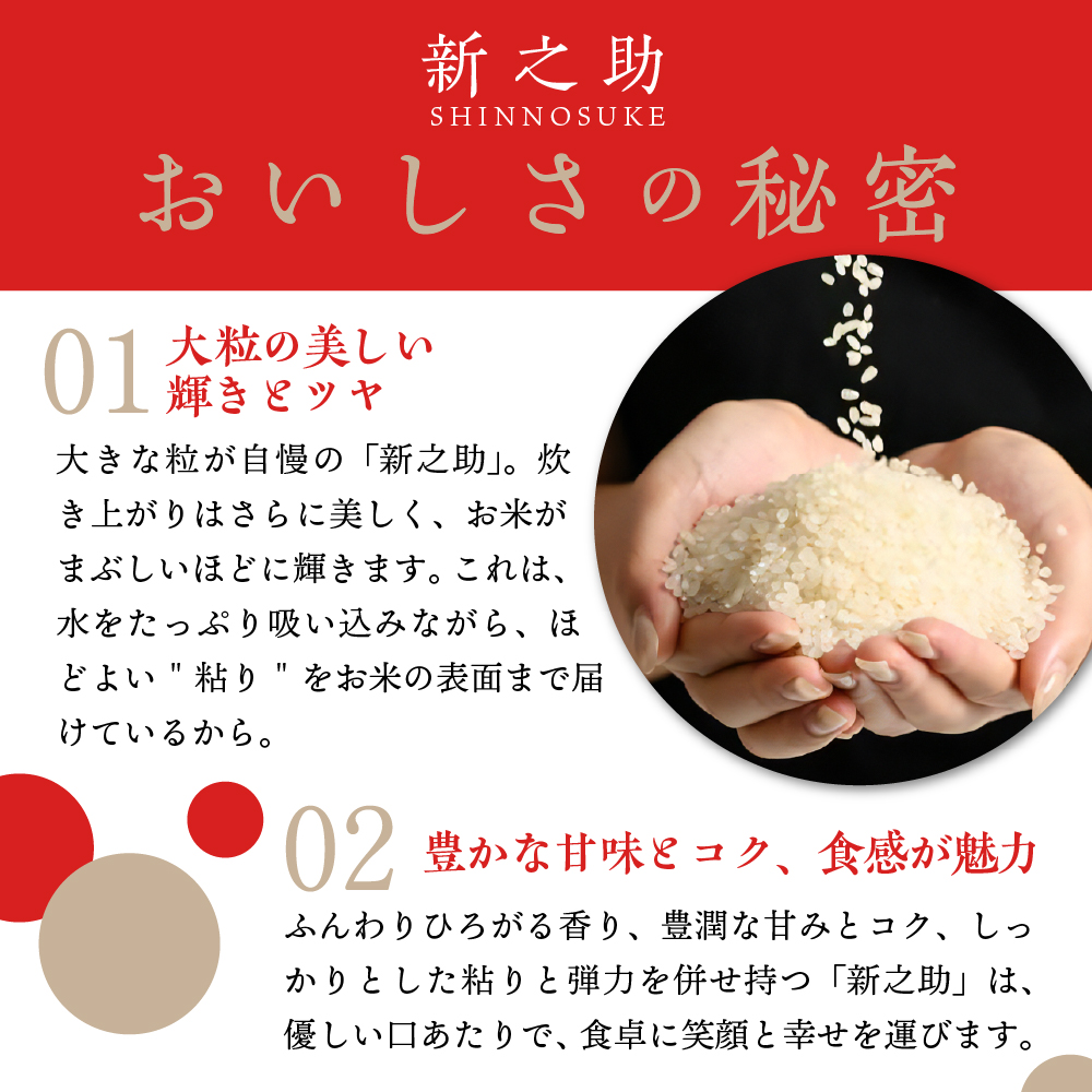 【2025年1月下旬発送】【定期便】令和6年産 新潟県上越・妙高産新之助2kg×6回（計12kg）