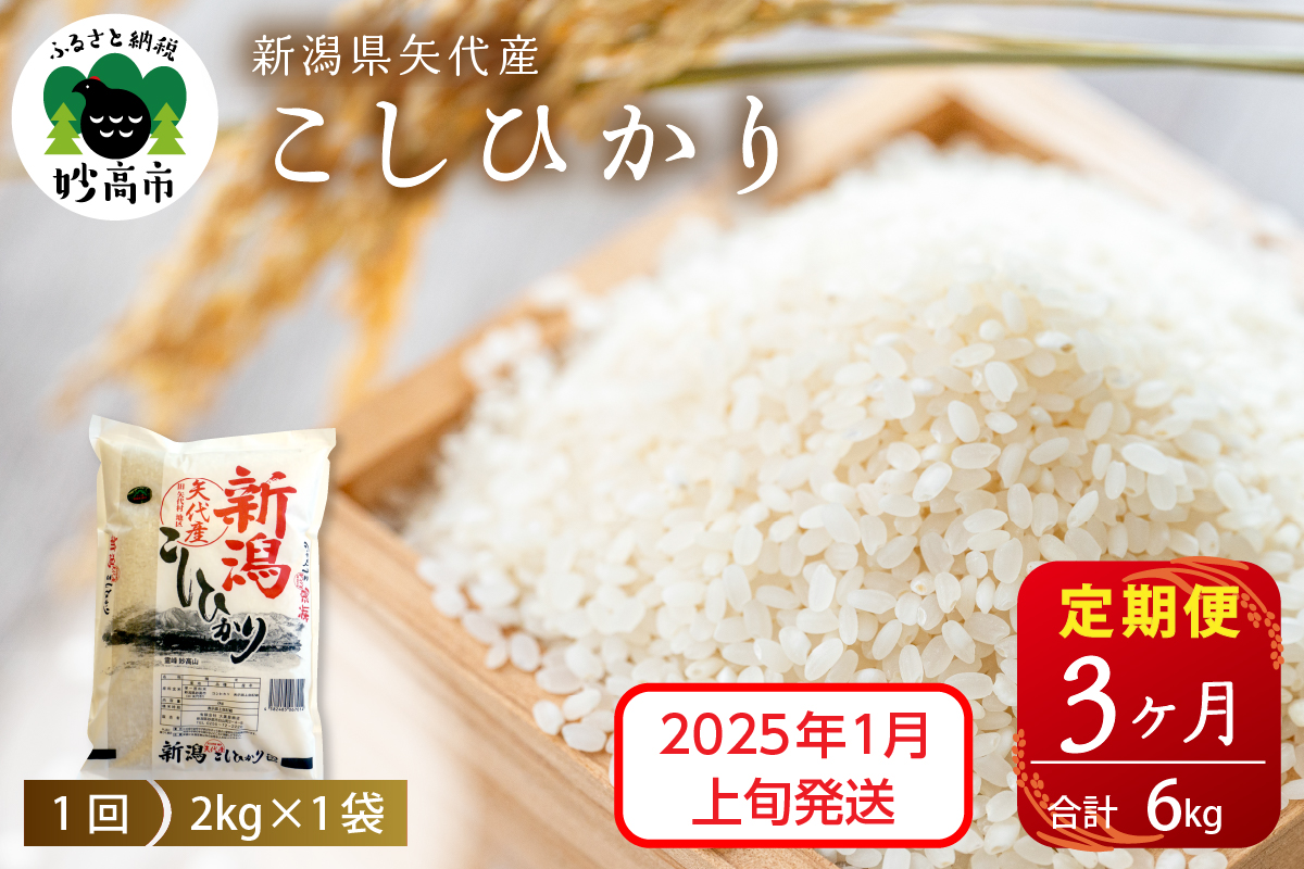 【2025年1月上旬発送】令和6年産 新潟県矢代産コシヒカリ2kg×3回（計6kg）