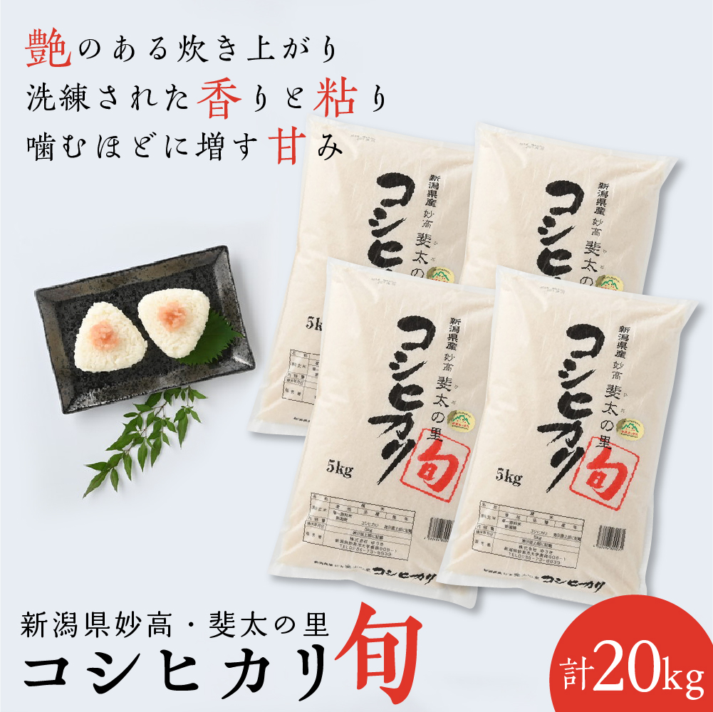 【2025年2月中旬発送】【令和6年産米】新潟県妙高産斐太の里コシヒカリ「旬」20kg(5kg×4袋)