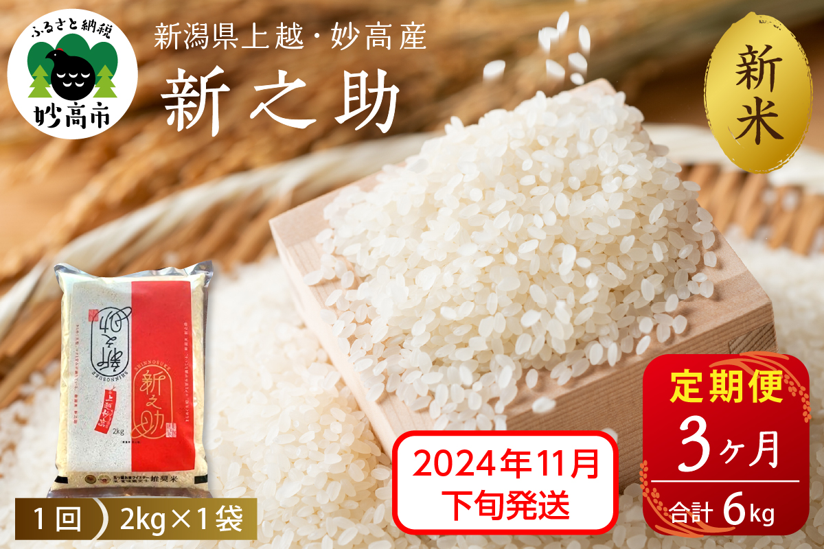 【2024年11月下旬発送】【定期便】令和6年産 新潟県上越・妙高産新之助2kg×3回（計6kg）