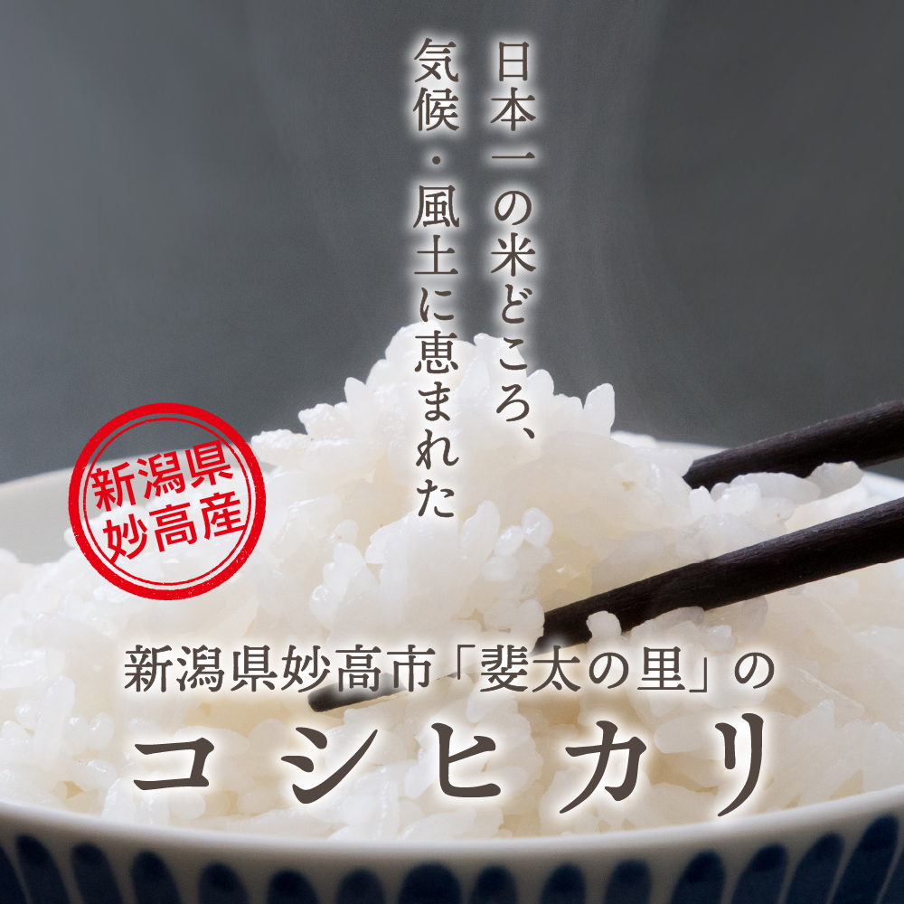 【2024年12月中旬発送】【令和6年産米】新潟県妙高産斐太の里コシヒカリ「旬」20kg(5kg×4袋)