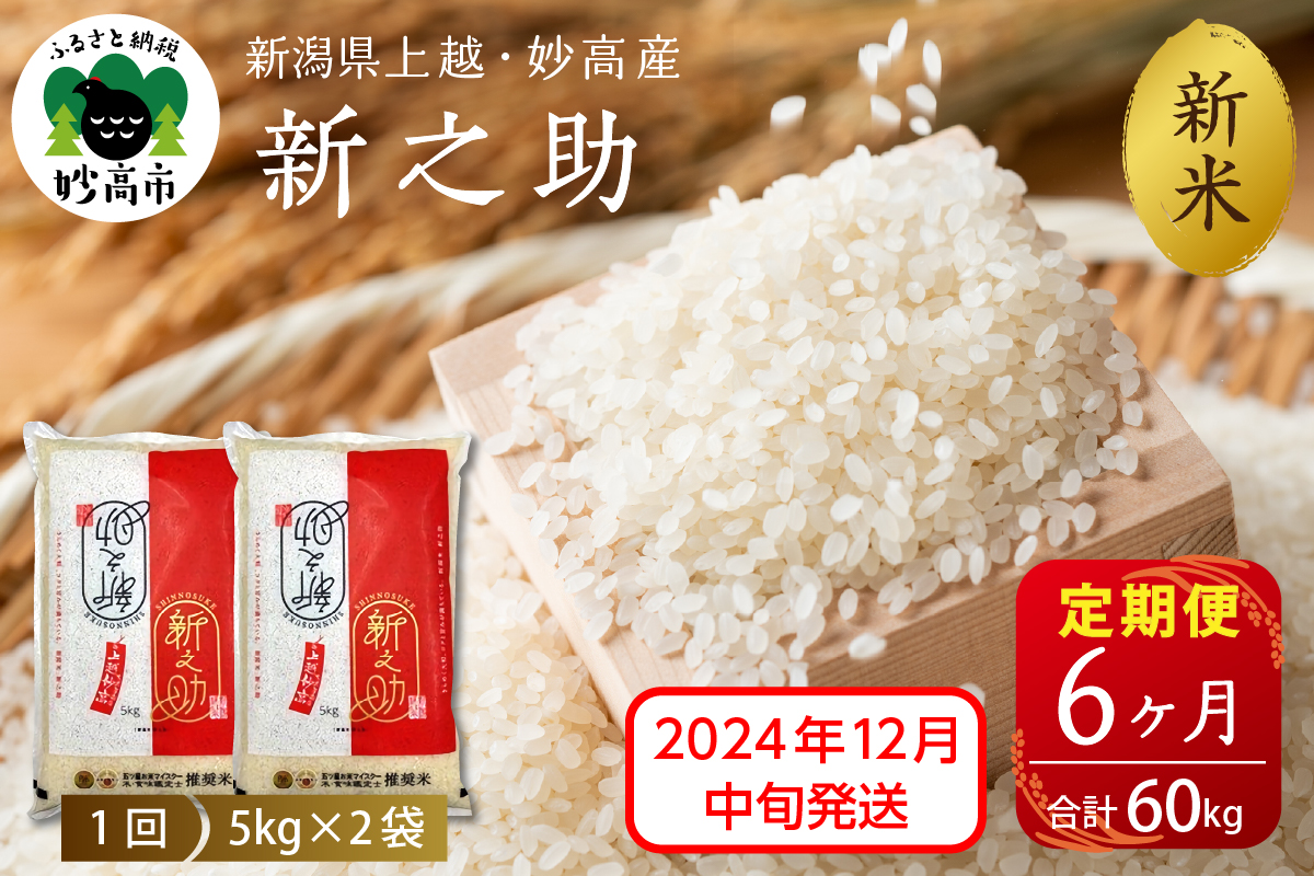 【2024年12月中旬発送】【定期便】令和6年産 新潟県上越・妙高産新之助10kg(5kg×2袋)×6回（計60kg）