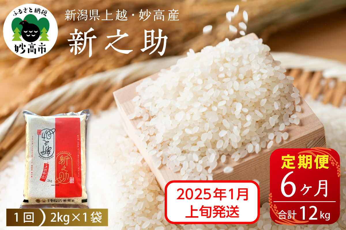 【2025年1月上旬発送】【定期便】令和6年産 新潟県上越・妙高産新之助2kg×6回（計12kg）