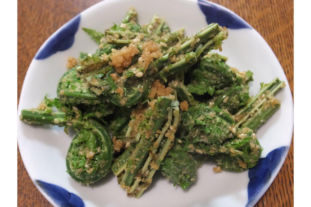 ã3æäžæ¬ããçºéã倩ç¶ããã¿ å±±è 倩ã·ã ããŸåã æ¥ã®å³èŠ ç£å°çŽé åœç£ æ°æœç åŠé«åž