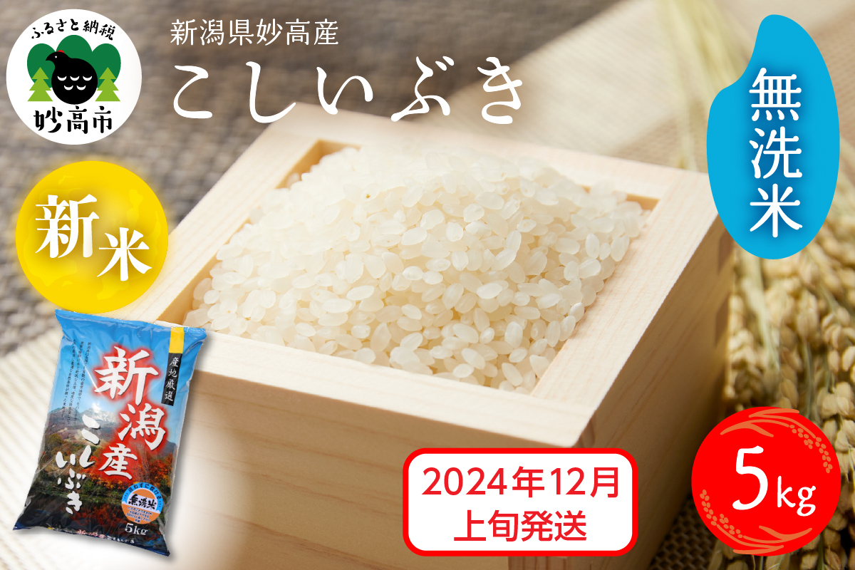 【2024年12月上旬発送】令和6年産 新潟県妙高産こしいぶき5kg 無洗米