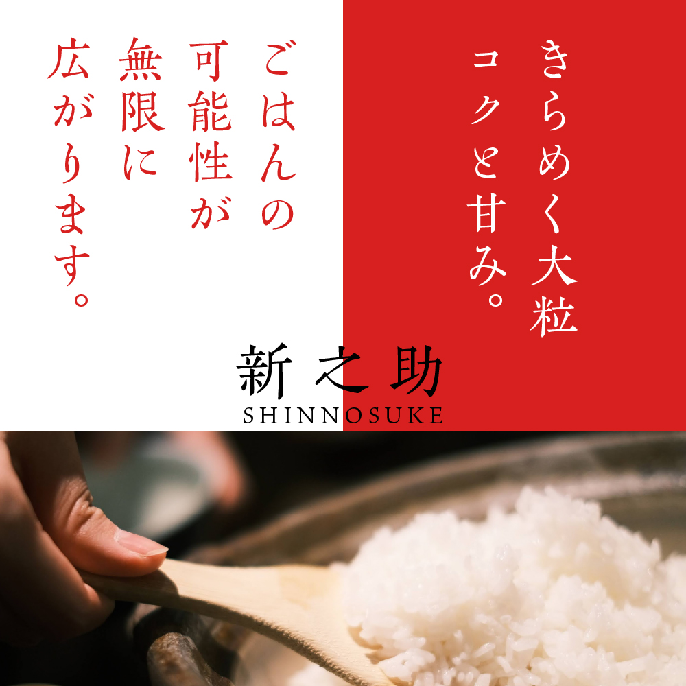 【2024年12月上旬発送】【定期便】令和6年産 新潟県上越・妙高産新之助10kg(5kg×2袋)×6回（計60kg）