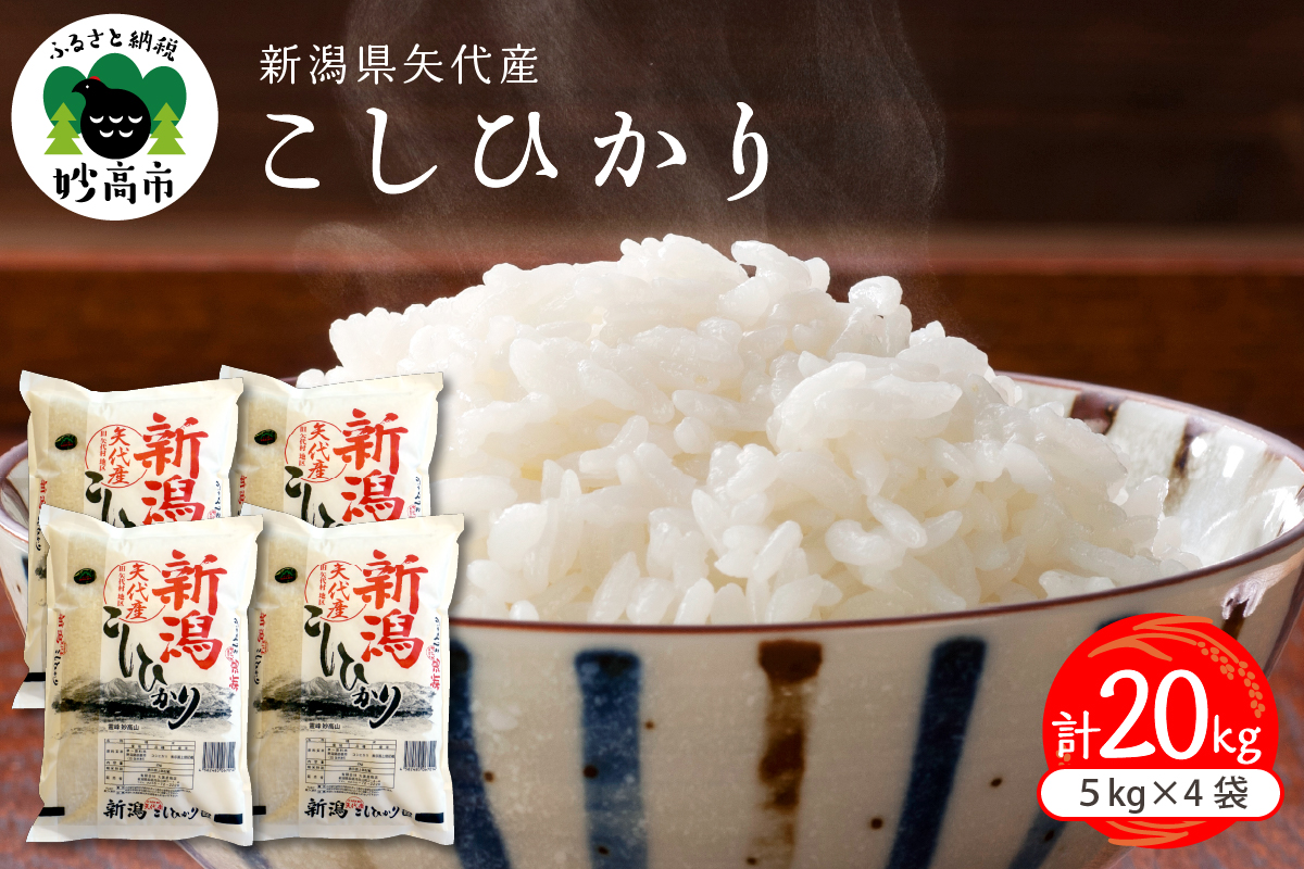 令和7年産 新潟県妙高産コシヒカリ20kg【順次発送】