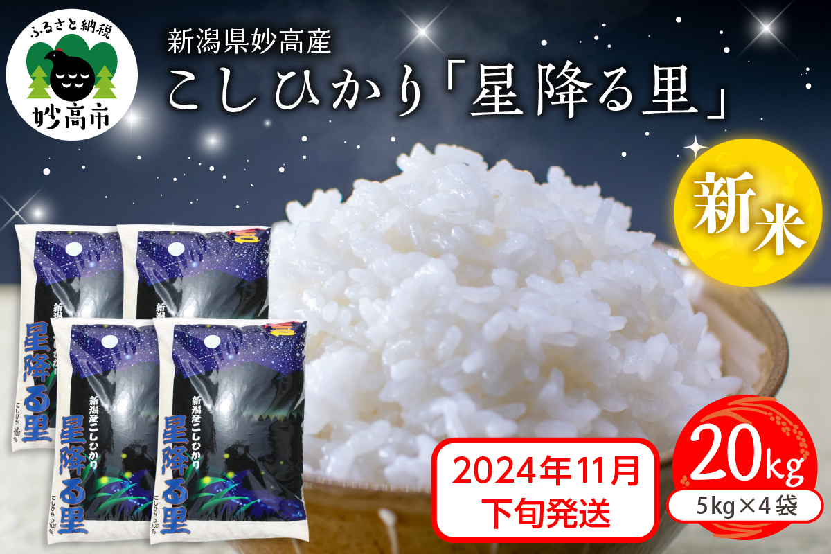 【2024年11月下旬発送】令和6年産 新潟県妙高産こしひかり「星降る里」20kg