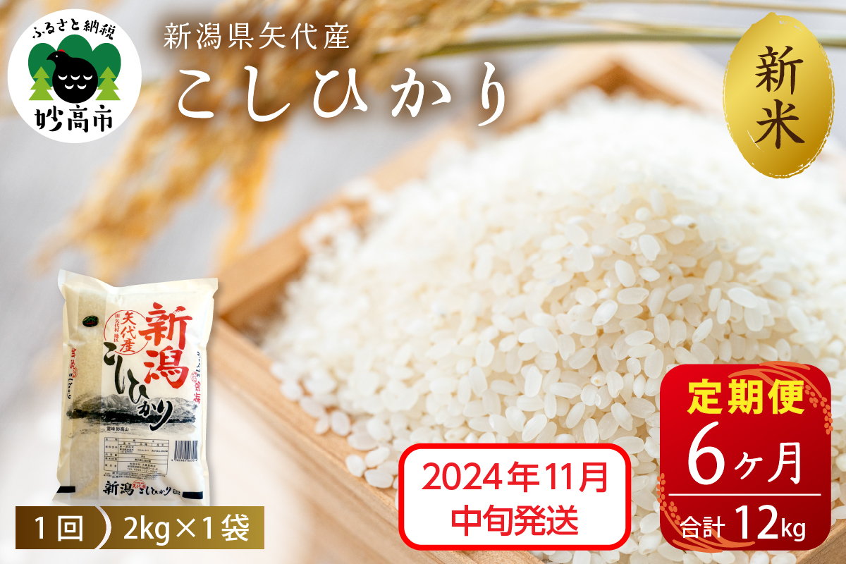 【2024年11月中旬発送】【定期便】令和6年産 新潟県矢代産コシヒカリ2kg×6回（計12kg）