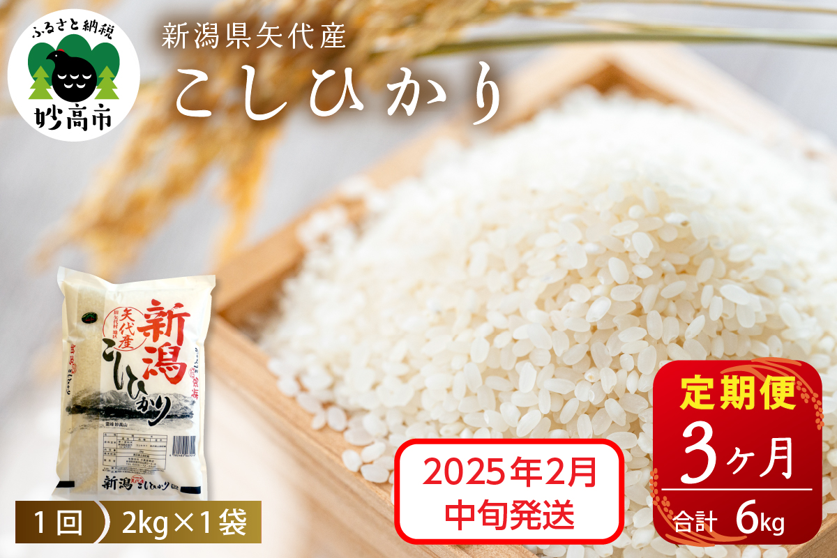 【2025年2月中旬発送】令和6年産 新潟県矢代産コシヒカリ2kg×3回（計6kg）